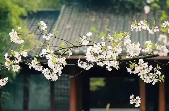 讓自己強大，必須放下十樣東西！